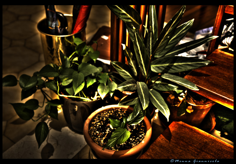 prime prove di HDR...2
