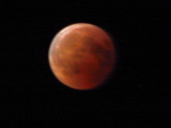 luina rossa