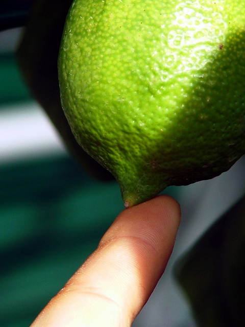 Lemon Tale