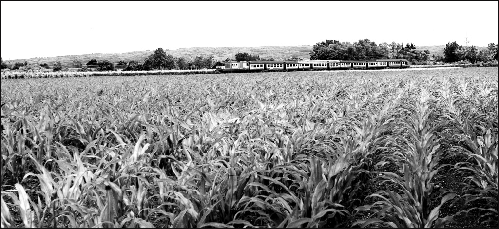 Trenino Infrared