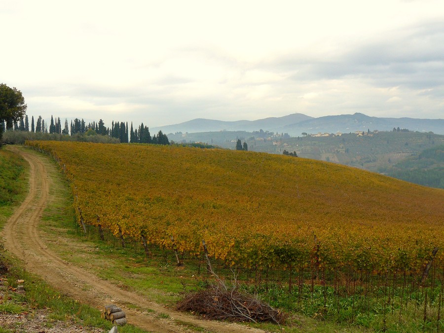 Autunno nel Chianti