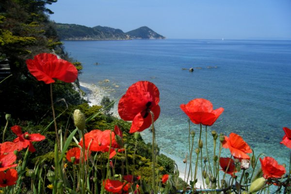 Elba - Capo Bianco