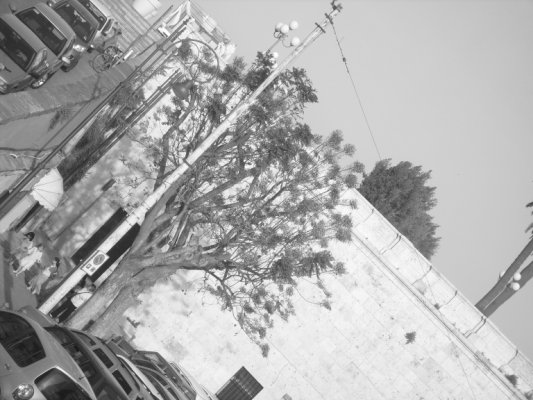 Bastione