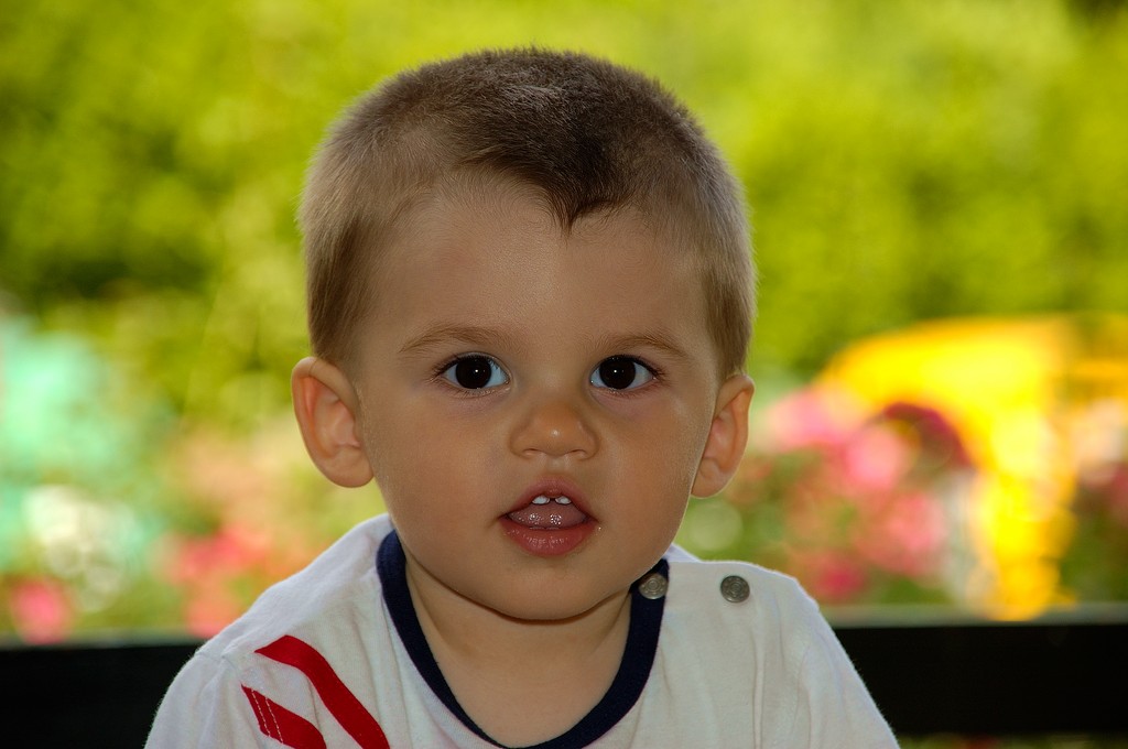 Stefano