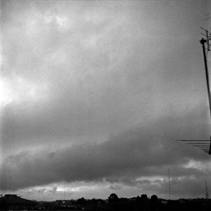 Y24-montemario_001