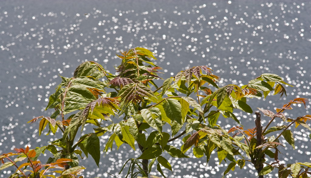 riflessi...