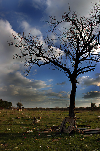 Natura Pesante