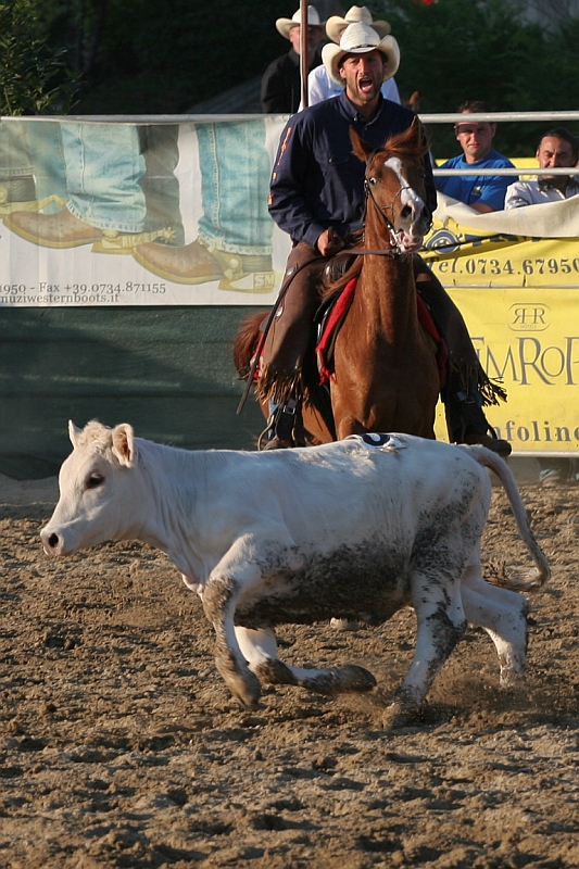 rodeo 1