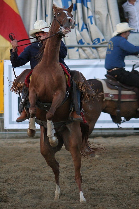 rodeo 3