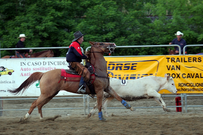 rodeo 6