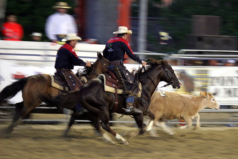 rodeo 7