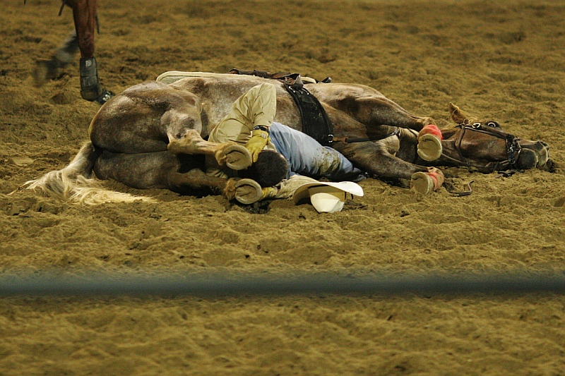 rodeo 8