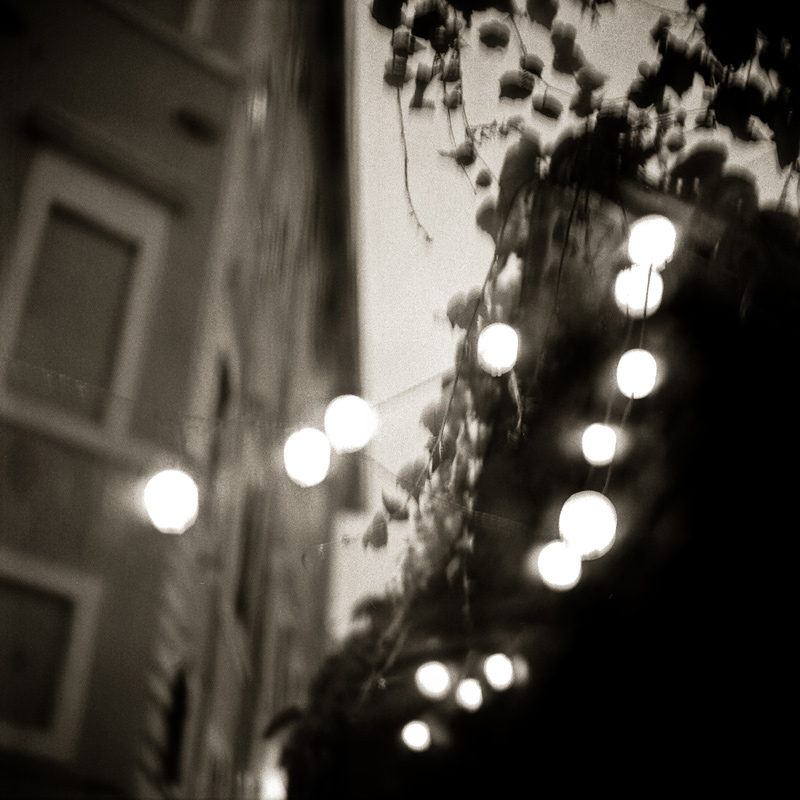 Y124G-Luci_002