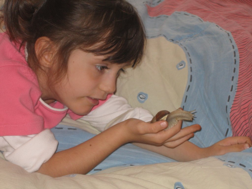 un amica di celi