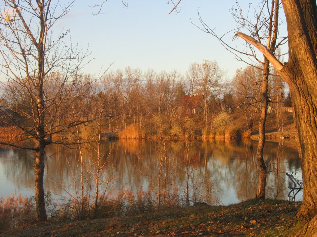novembre..