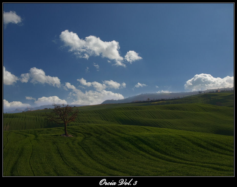 Orcia Vol. 3