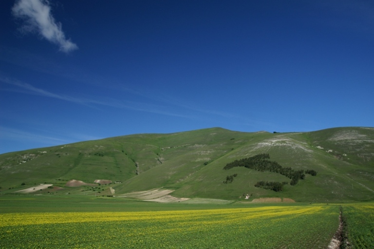italia