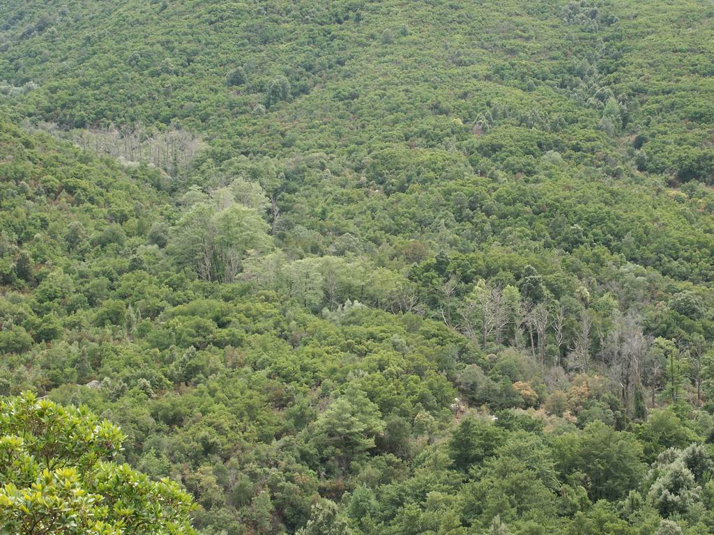 Paesaggio