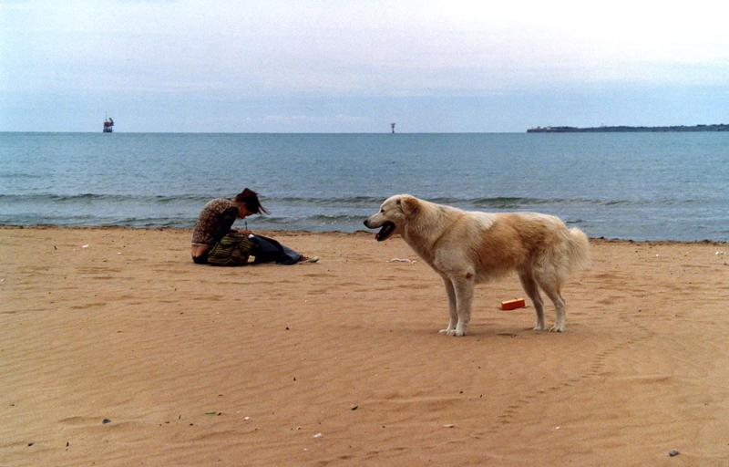 Sola con un cane