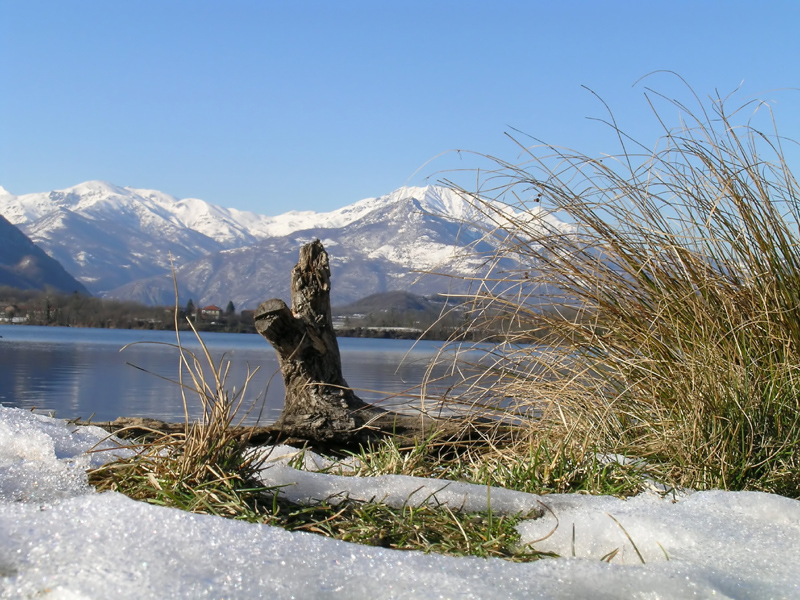 Lago di Avigliana
