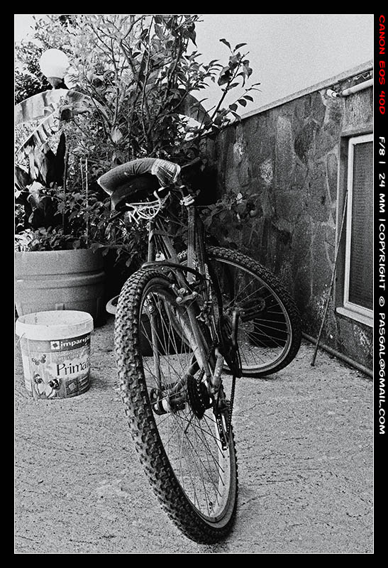 Bici