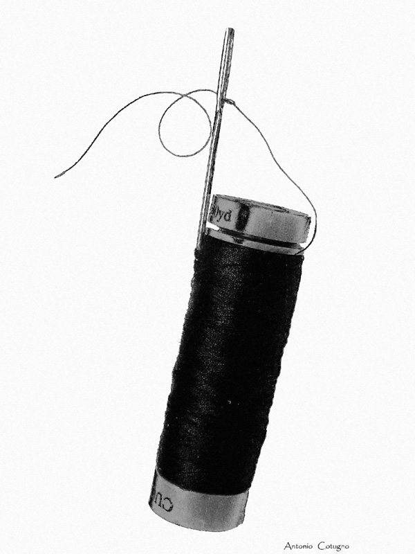 Cotone nero