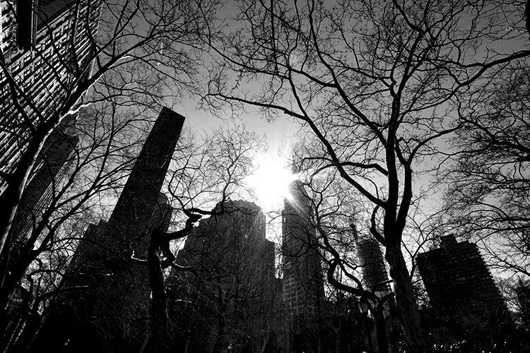 Madison Square Park