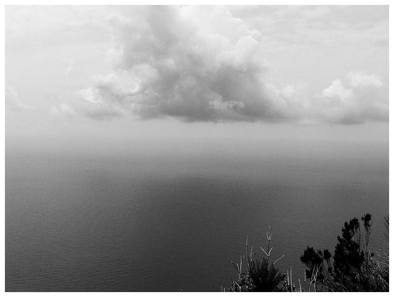 grigio d'estate