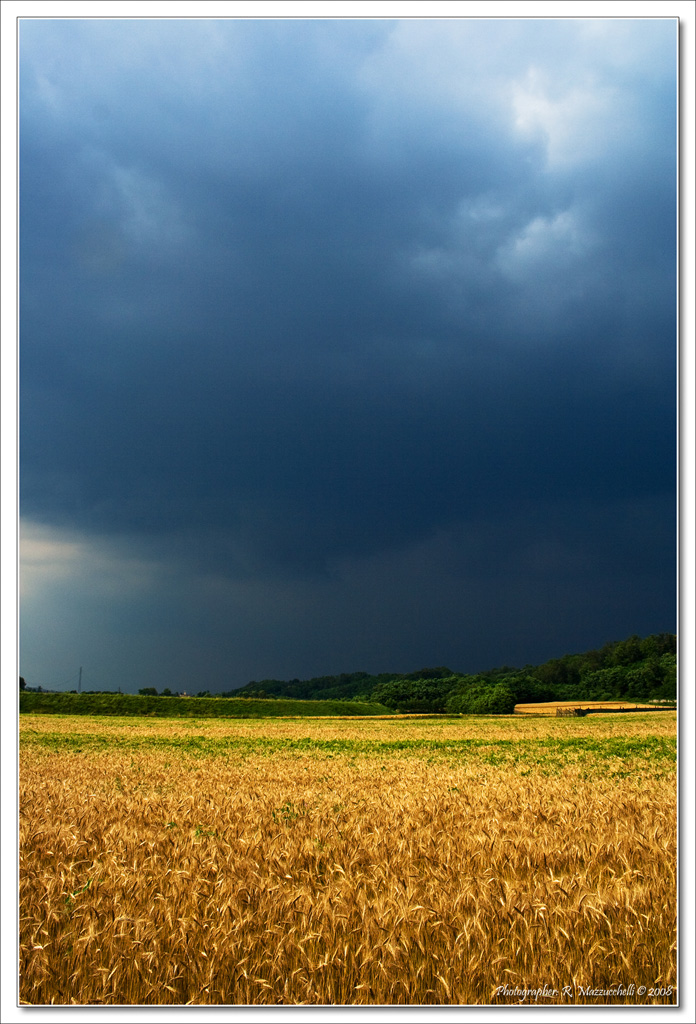 Campo tempestoso
