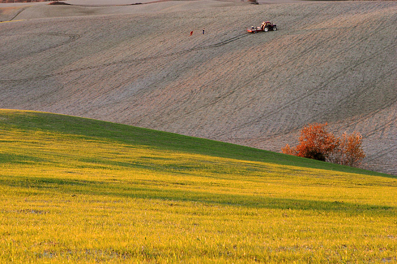 toscana