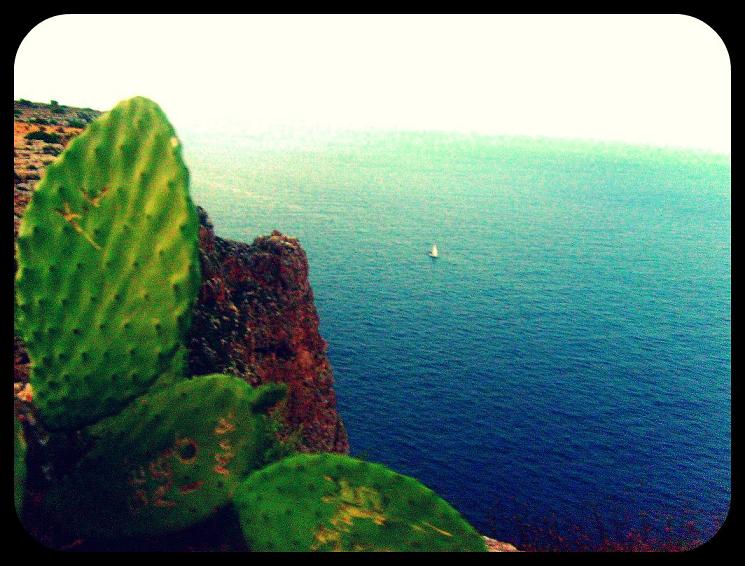 Scogliera