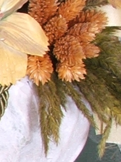 s5500-64iso-crop3