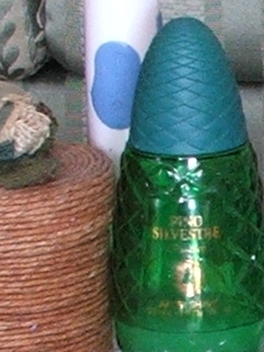 s5500-200iso-crop1.jpg