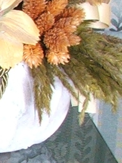 s5500-200iso-crop3.jpg