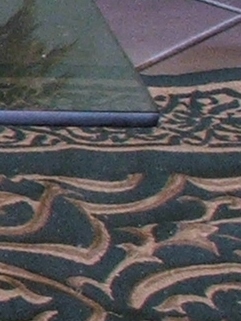 s5500-200iso-crop4.jpg