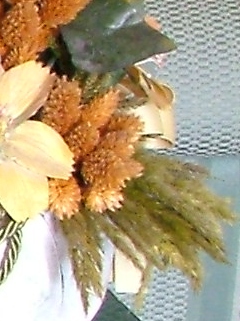 s5000-400iso-crop3.jpg