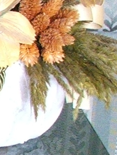 s5500-400iso-crop3.jpg