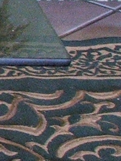 s5500-400iso-crop4.jpg