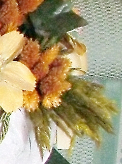 s5000-1600iso-corretta-crop3.jpg