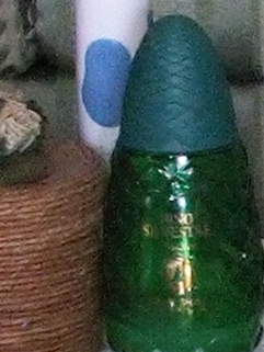 s5500-1600iso-crop1.jpg