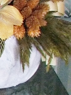 s5500-1600iso-crop3.jpg