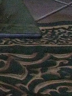 s5500-1600iso-crop4.jpg