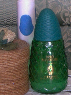 s5000-raw200iso-crop1.jpg