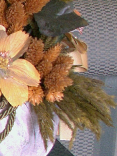 s5000-raw200iso-crop3.jpg