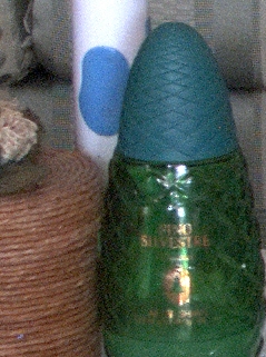 s5500-raw800iso-crop1.jpg
