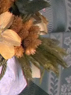 s5000-raw1600iso-crop3.jpg