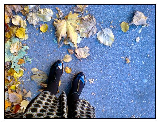 attese d'autunno