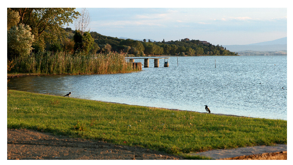 Trasimeno