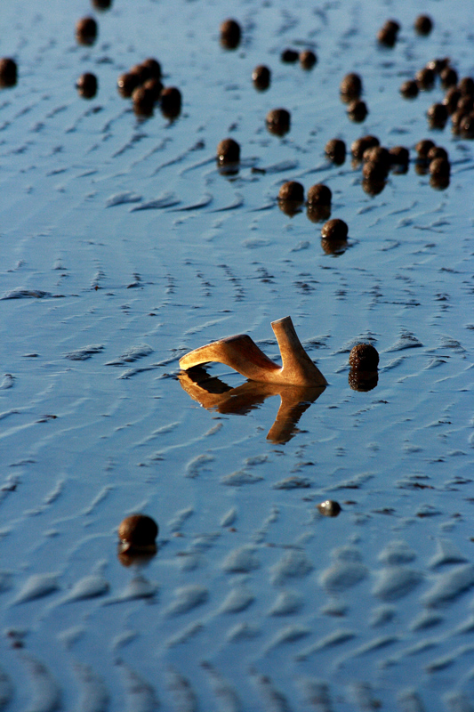 Portata dal mare
