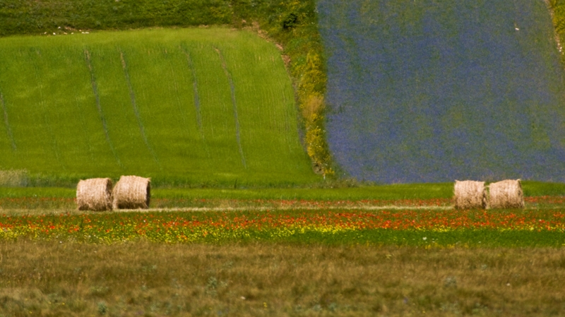 colori e balle
